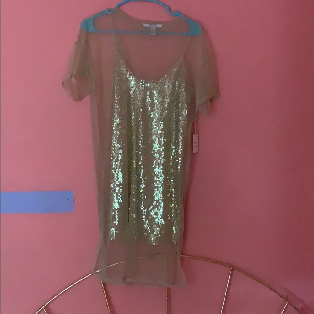 Sheer dress with a gold sequin slip underneath